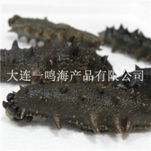 厂家批发大连海参半干海参贴牌生产OEM/ODM