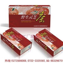 康汇年华野生灵芝茶厂家批发招商保健茶加工少林灵芝茶生产厂家