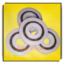 厂家供应耐酸碱塑料轴承耐高温塑料轴承