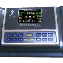 腰椎间盘突出颈椎关节炎治疗仪医用中频多功能数码经络理疗仪器