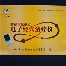 智能型癫痫治疗仪-厂家直销，佩戴式电子经穴治疗仪