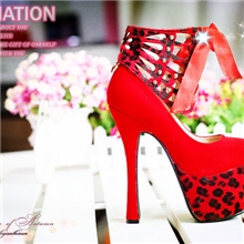 2013新款古罗马豹纹时尚防水台曾高女鞋