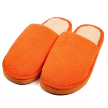 男女情侣家居拖鞋四季室内拖鞋秋冬棉拖鞋纯色珊瑚绒保暖毛绒拖鞋