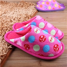 好贸百货特价促销冬季新款圆点保暖棉拖鞋情侣防滑棉拖MTA-8