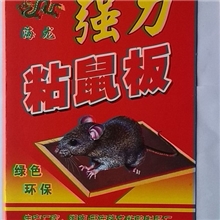 供应外贸型大号粘鼠板,老鼠板，粘蝇板粘蝇卷