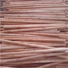「生产厂家」桦木纯白小柱/桦木杆临沂慧茂旋皮厂直销欢迎订购