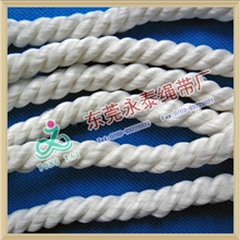 供应pp绳丙纶绳纽绳涤纶绳带人字带