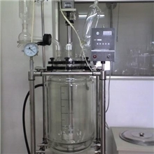 【厂家直销】SF-20L（20升）双层玻璃反应器高品质+超低价