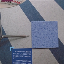 上海厂家批发宝丽龙星丽系列卷材pvc塑胶料地板革2.0厚0.4耐