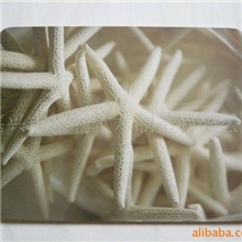 供应软木餐垫/软木密度板餐垫/软木隔热垫