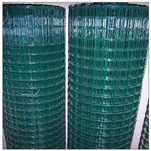 供应经济耐用不褪色的养殖荷兰网欲购从速