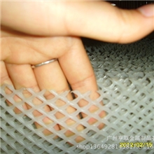 广州塑料网厂/优质塑料平网/牢固耐用养殖鸡用塑料网/低价牵伸网