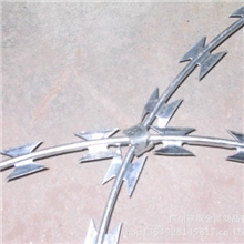 【绿色环保火爆订购】专业生产刺绳加工定做刺网刀片刺丝网