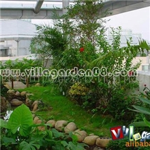 北京庭院设计花园设计私家庭院营造别墅绿化