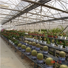 【免检产品】厂家直销聚碳酸酯板/温室工程专用阳光板/金牌供应商