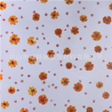 长期供应高档petg透光板生态树脂板petg透光板