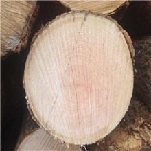 联添红供应运动休闲装饰板材白腊木