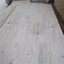 【批发】优质十二厘杨木胶合板批发1220*2440*12mm厂家现货供应