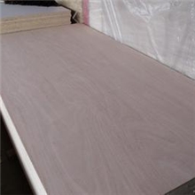 【批发】胶合板厂家供应3mm胶合板杨木材质一次成型欢迎订购