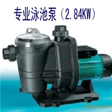 游泳池设备ESPA亚士霸专业游泳池水泵【2.84KW】