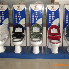 供应智能马桶盖,微电脑卫生坐垫,标迪转转垫,卫生座垫马桶盖