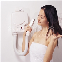 带剃须刀充电功能档位显示五级变频的干肤、干发二用机8102