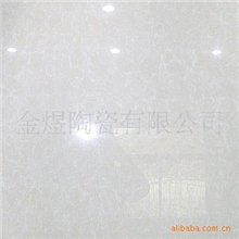 【厂价直销】供应各种花色抛光砖