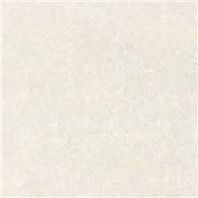 专业生产家居地砖普拉提地砖白色普拉提系列瓷砖JTF8301