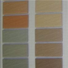 彩码砖；通体砖；外墙砖；45x95mm