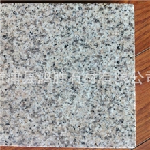 专业出售福建虾红G681