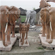 晚霞红大象汉白玉大象吉祥如意大象招财大象