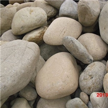 供应北京，天津，唐山，秦皇岛，张家口，山西，内蒙古园林鹅卵石