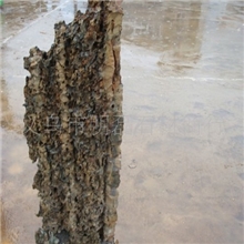 供应假山自然石