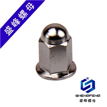 【企业集采】盛峰/SB111一体式法兰面盖型螺母自产自销