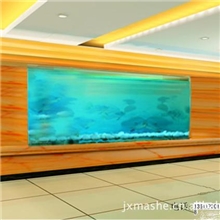 专业定制各种型号海鲜鱼缸及观赏鱼缸、设计制造一条龙服务