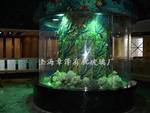定制各种型号海鲜及观赏鱼缸、设计维护一条龙服务