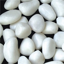 批发供应白玉石/水族园林花卉装饰石