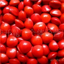 正品天然9mm左右大相思红豆相思豆海红豆顾山红豆批发按斤