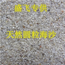 厂家供应儿童游乐园天然海砂黄色海沙