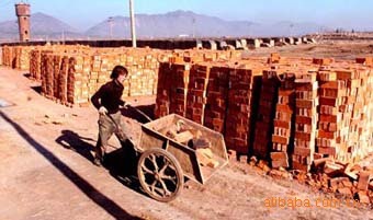 九五红砖水泥砖/多孔红砖水泥砖