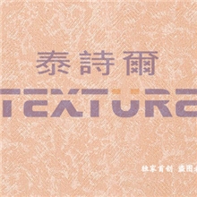 广东韶关壁纸漆代理经销壁纸漆墙艺漆肌理壁膜代理经销