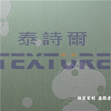 供应纽带纹肌理漆绿色环保涂料，泰诗尔肌理壁膜火热诚邀代理加盟