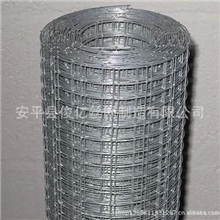 专业生产电焊网镀锌电焊网电焊网片质量第一
