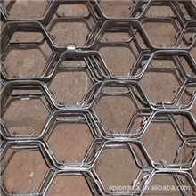 六角形大泥爪龟甲网安平龟甲网厂
