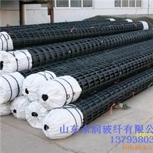 低价供应西藏地区施工用凸结点钢塑格栅片13793803036王经理