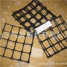 【直销】供应双项土工格栅，塑料格栅质优价廉欢迎来电
