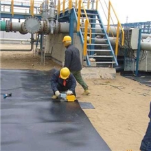 供应HDPE防渗膜人工湖绿化防渗膜