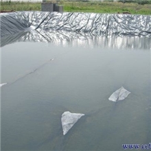 养殖防渗膜鱼塘防渗膜藕池防渗膜低价供应找刘经理