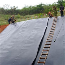 防水板首选源祥豪斯【自粘防水板】