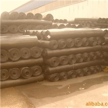 专业双向塑料土工格栅，双向土工格栅，聚丙烯土工格栅